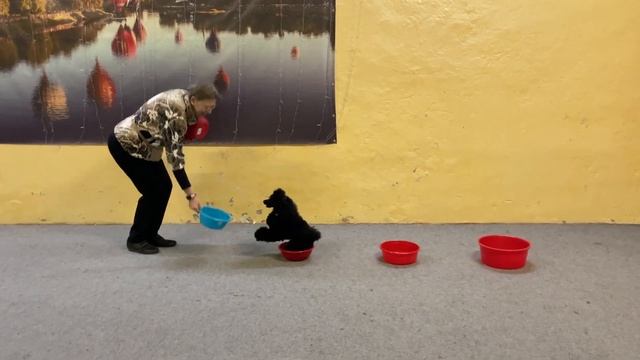 Тренировка тазики 1 смотреть онлайн