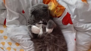 мой день 3