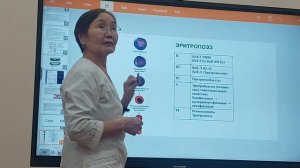 гемопоэз гистология