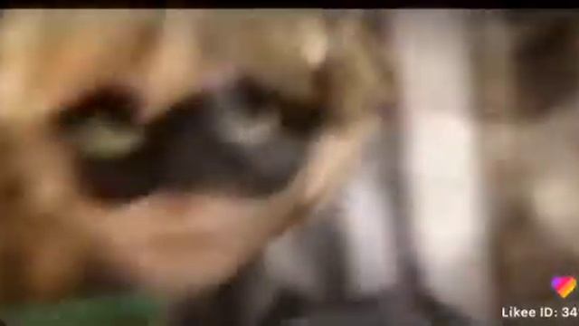 Кажется что ЛедиБаг слишком крута кто тоже ставь лайк нажимай на колокольчик и нажимай на подписку) смотреть онлайн