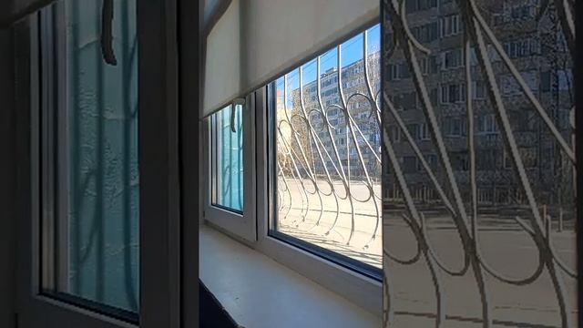 Рыжая бестия