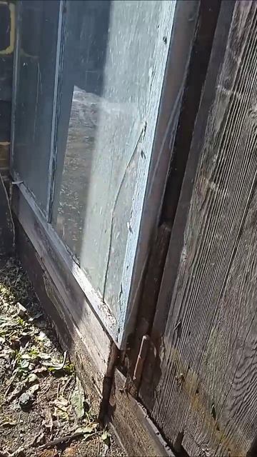 Милые пушистики смотреть онлайн