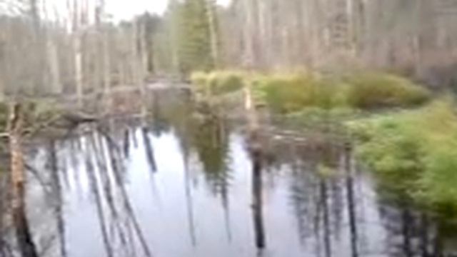 Охота на бобра смотреть онлайн