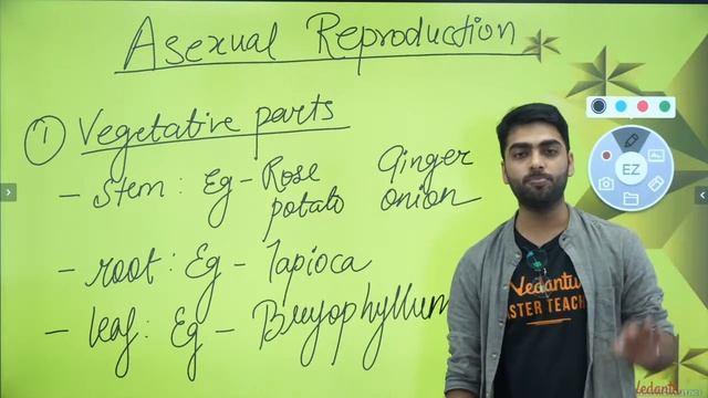 Reproduction In Plants L1 | NCERT | Class 7 Science Chapter 12 | Young Wonders | Pritesh Sir смотреть онлайн