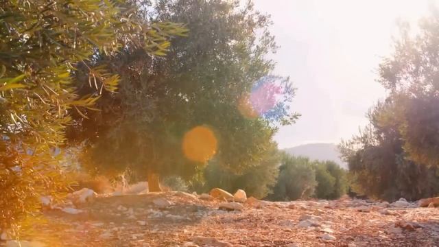 Powerful Bible Foods That Heal | 7 Foods Of The Promised Land смотреть онлайн