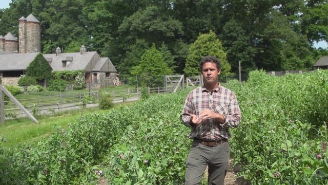 From the Field & CSA: Week 2 смотреть онлайн