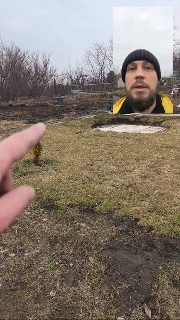 Установка полива для черенкования😁 смотреть онлайн