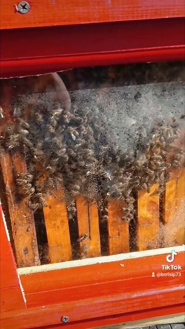 🏘️🏘️🏘️🏘️🏘️🏘️🐝🐝🐝🐝🐝🐝🐝 смотреть онлайн
