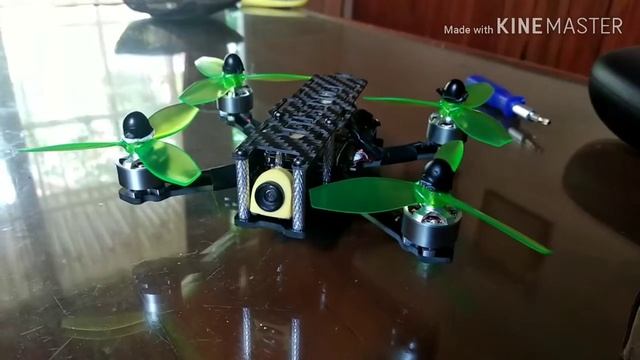 Change frame eachine ex2mini or mjx bugs 3 mini to fiber carbon смотреть онлайн