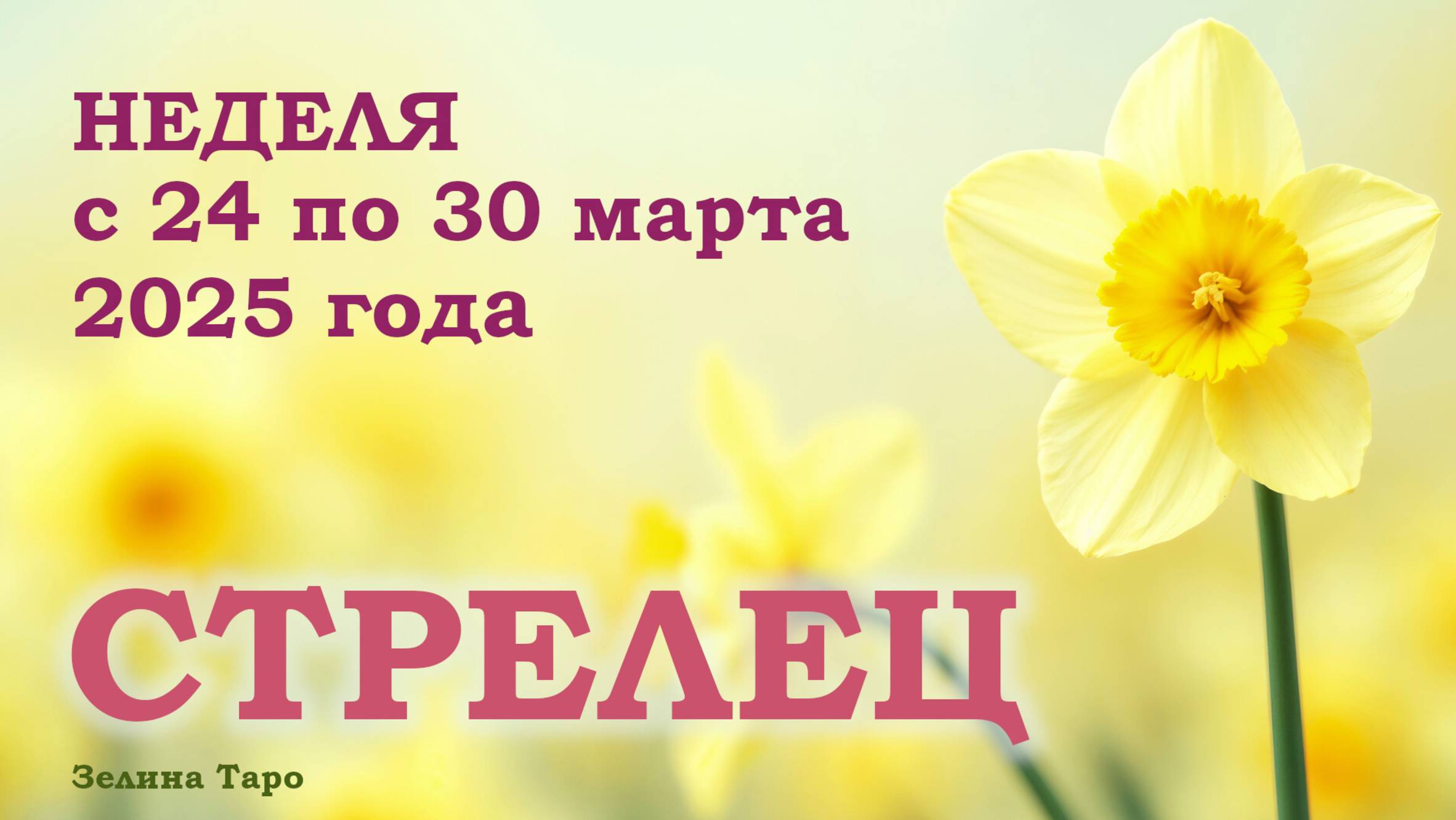 СТРЕЛЕЦ | ТАРО прогноз на неделю с 24 по 30 марта 2025 года