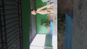 Rico vesos pobre na piscina