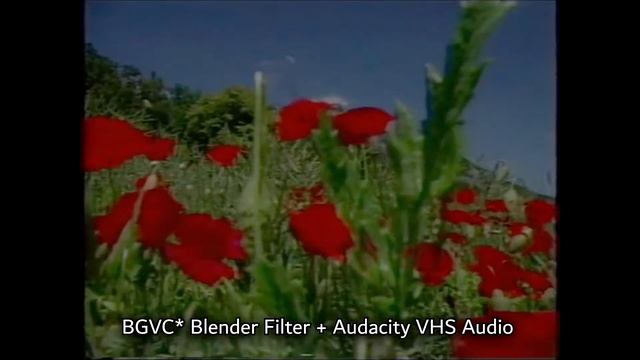 Artificial VHS Effects Comparison смотреть онлайн