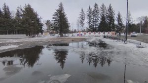 Весна пришла