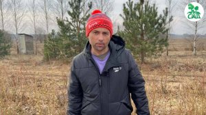 Обрезаем голубику правильно вместе с ПЛОДОПИТОМНИК САД.