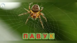 Вчимося читати-рятуй друзів.Вчимо букви, літери. Вчимося читати. Частина 6