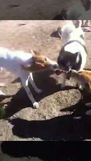 Игра в перетяжку / 28.03.2017 смотреть онлайн