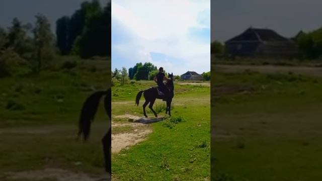 Горячий Кабардинец, не менее Горячий Мухтар Абдулкеримов смотреть онлайн