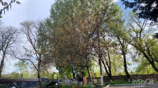 Первый ролик в реальной жизни.