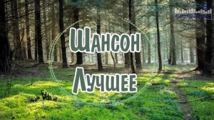 ШАНСОН ЛУЧШЕЕ ПЕСНИ 2025  Шансон 2025 Новые Песни Года  Красивый Шансон 2025 Слушать