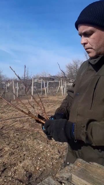 хворост, заготовка #готовимвкусно #готовимдома #шашлык #сад #shorts