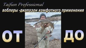 Taifun Professional -испытания воблерами