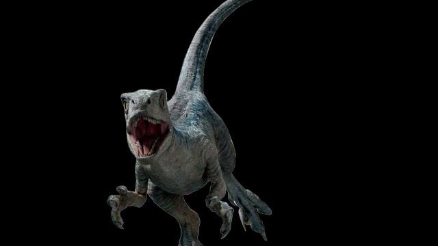 Beta Baby Velociraptor Sounds J.W.D