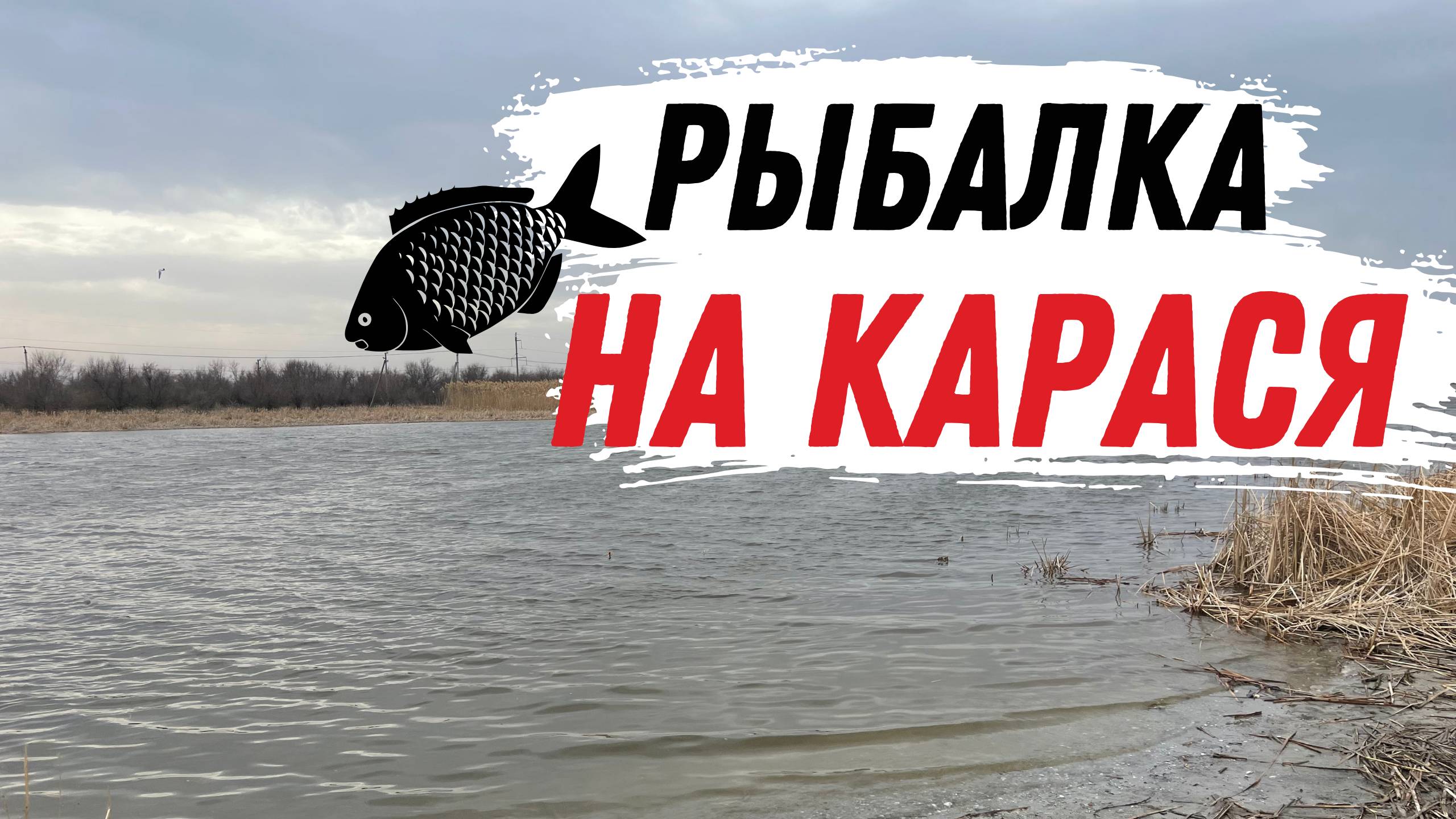 ЛОВЛЯ ФИДЕРОМ ВЕСЕННЕГО КАРАСЯ. ОТЛИЧНАЯ КОМПАНИЯ И ДОСТОЙНЫЙ УЛОВ. смотреть онлайн