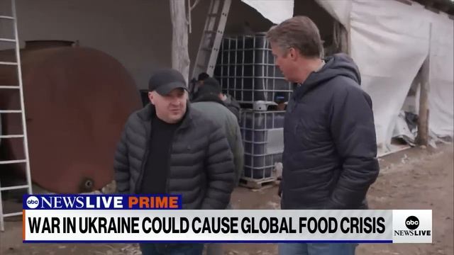 Ukraine’s farmers persevere as war threatens global food supply смотреть онлайн
