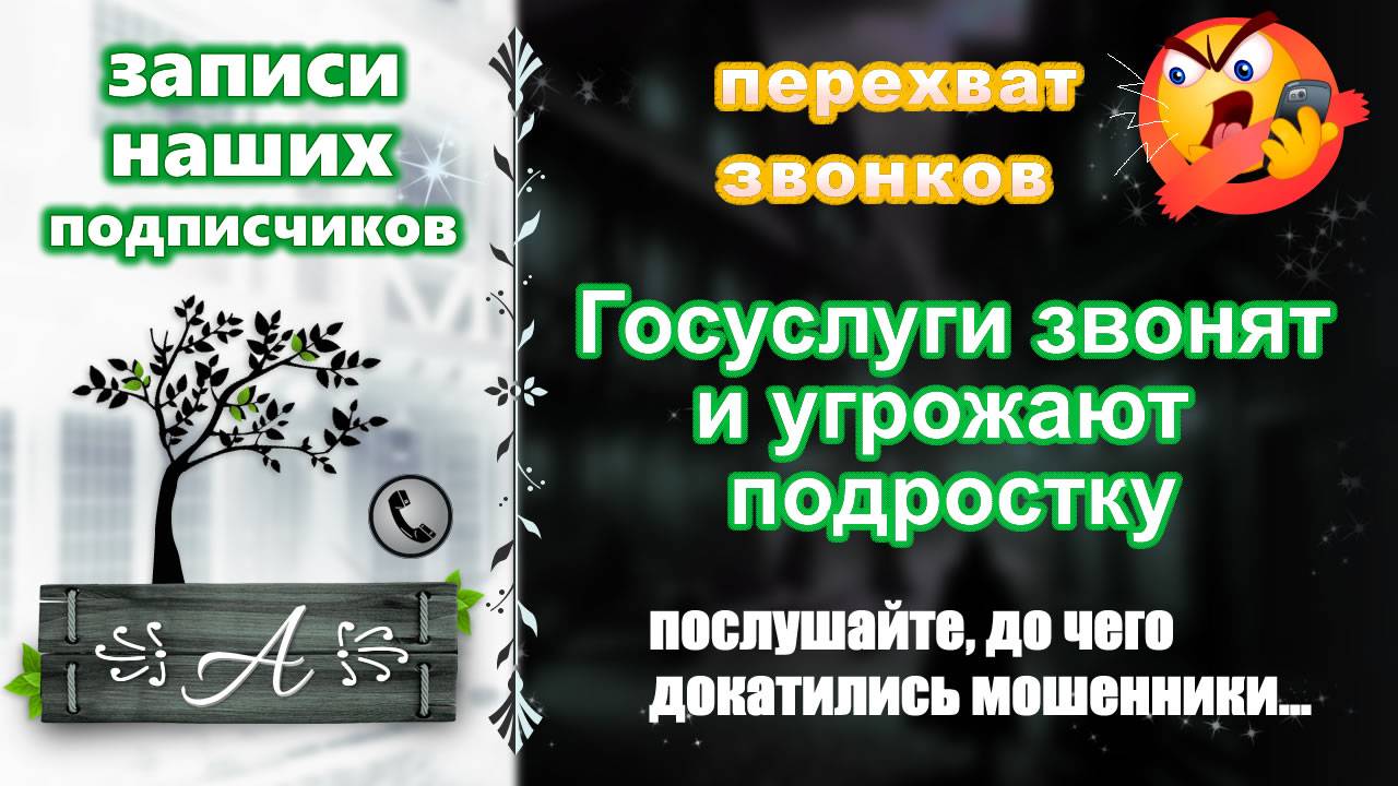 Алиса и Алёнушка против мошенников