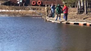 утренние поимки форели в Рыбин Гуде