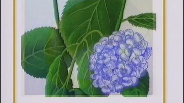 Hortensias et Gardenias, plantes à fleurs смотреть онлайн
