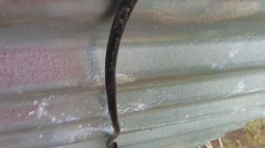 Саморезы вместо клёпок?