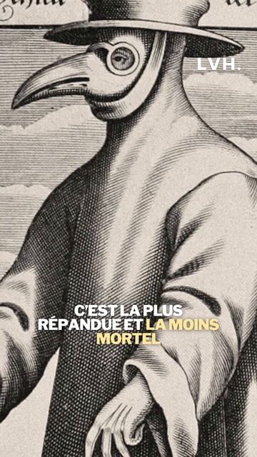 Comment on attrape la PESTE 😳 #histoire смотреть онлайн