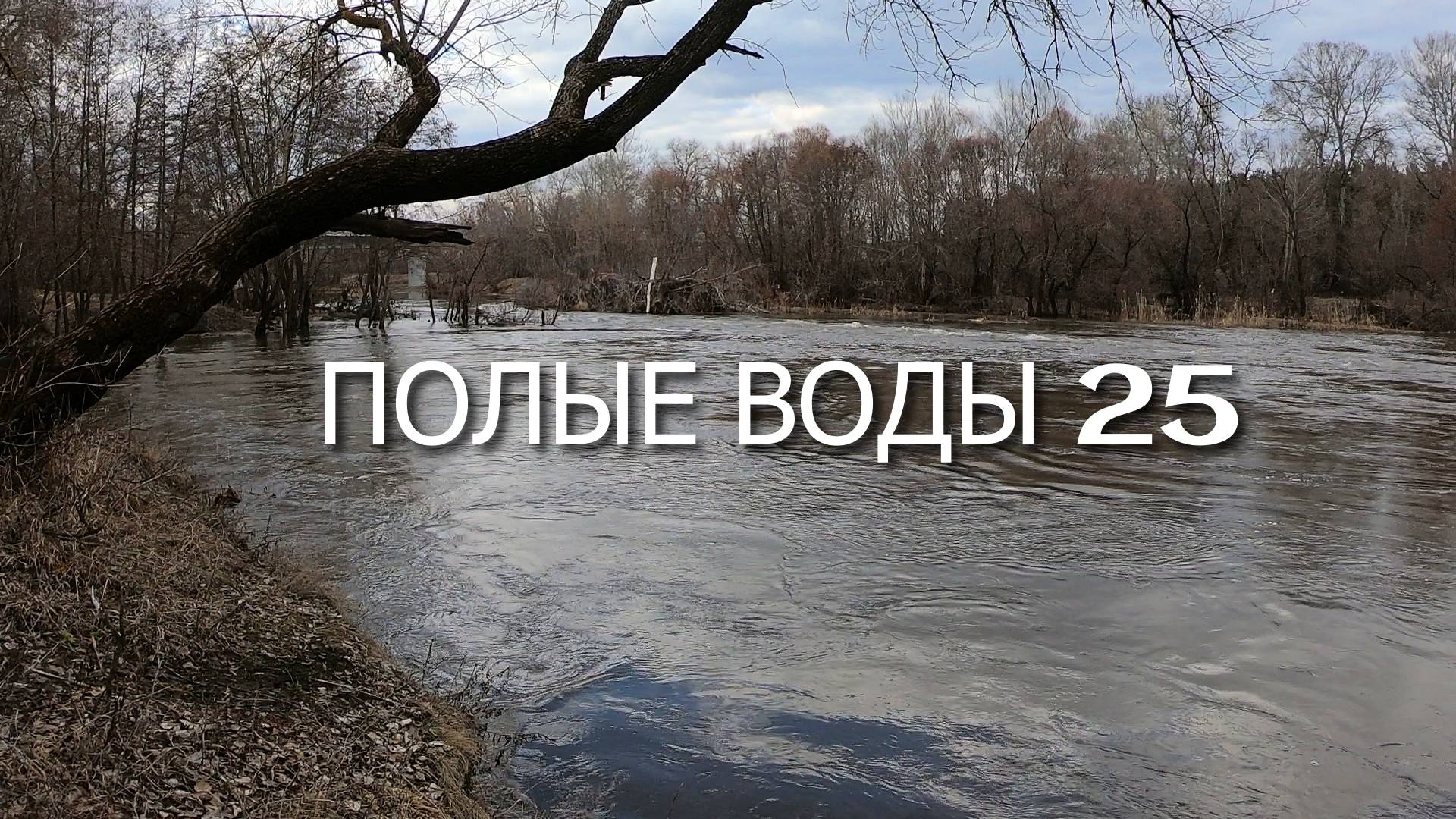 Полые воды 25 смотреть онлайн