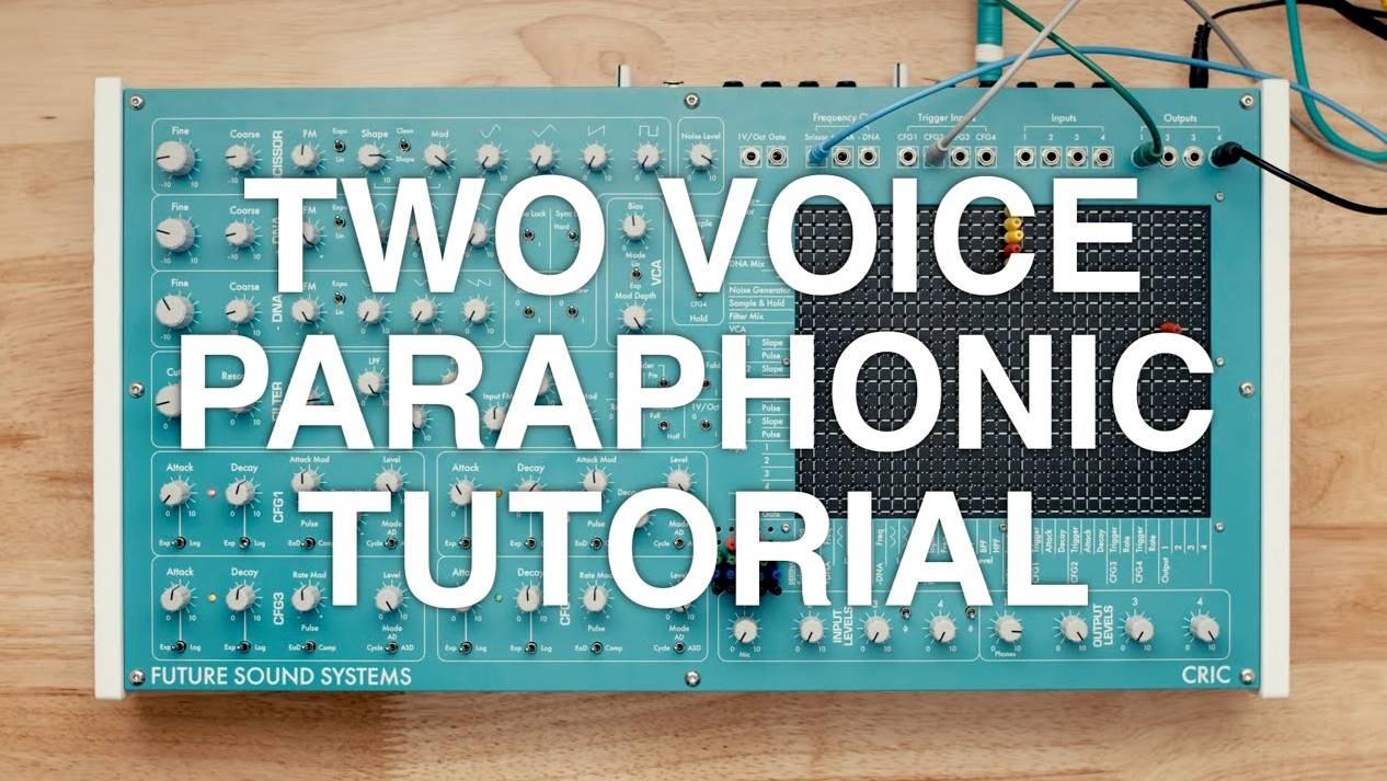 Future Sound Systems Cric: Two Voice Paraphony