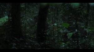 Империя шимпанзе 4 серия «Расплата» (документальный сериал, 2023)