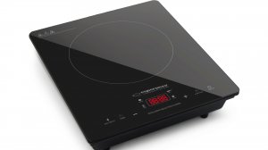 Индукционный нагреватель из индукционной плиты.