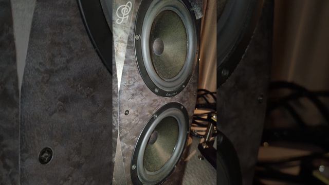 Avalon Acoustics + Karan Audio + Petrik Audio - Hi-Fi & High End Show 2025 СПб смотреть онлайн