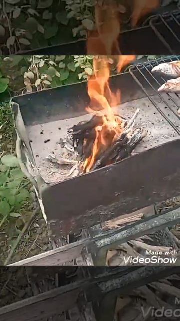 Рыба на костре лучше чем жареная.