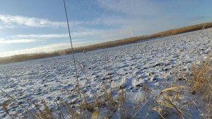 охота на зайца  в пашне