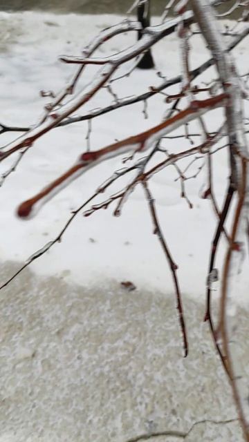 голодëд и гололедица - 2022 Казань смотреть онлайн