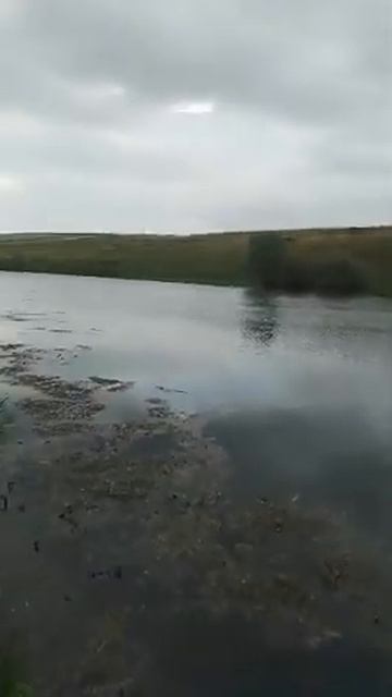 восстановление плотины