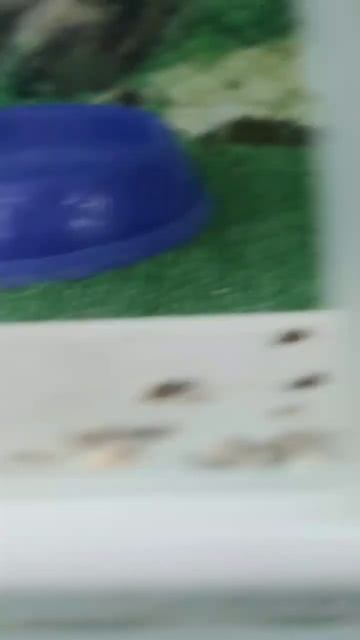 #short смотреть онлайн