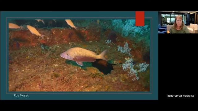 Wreck Diving in the Graveyard of the Atlantic смотреть онлайн