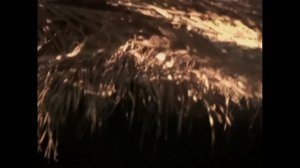 Цунами: Гонка со временем 2 серия «Таиланд» (документальный сериал, 2024)