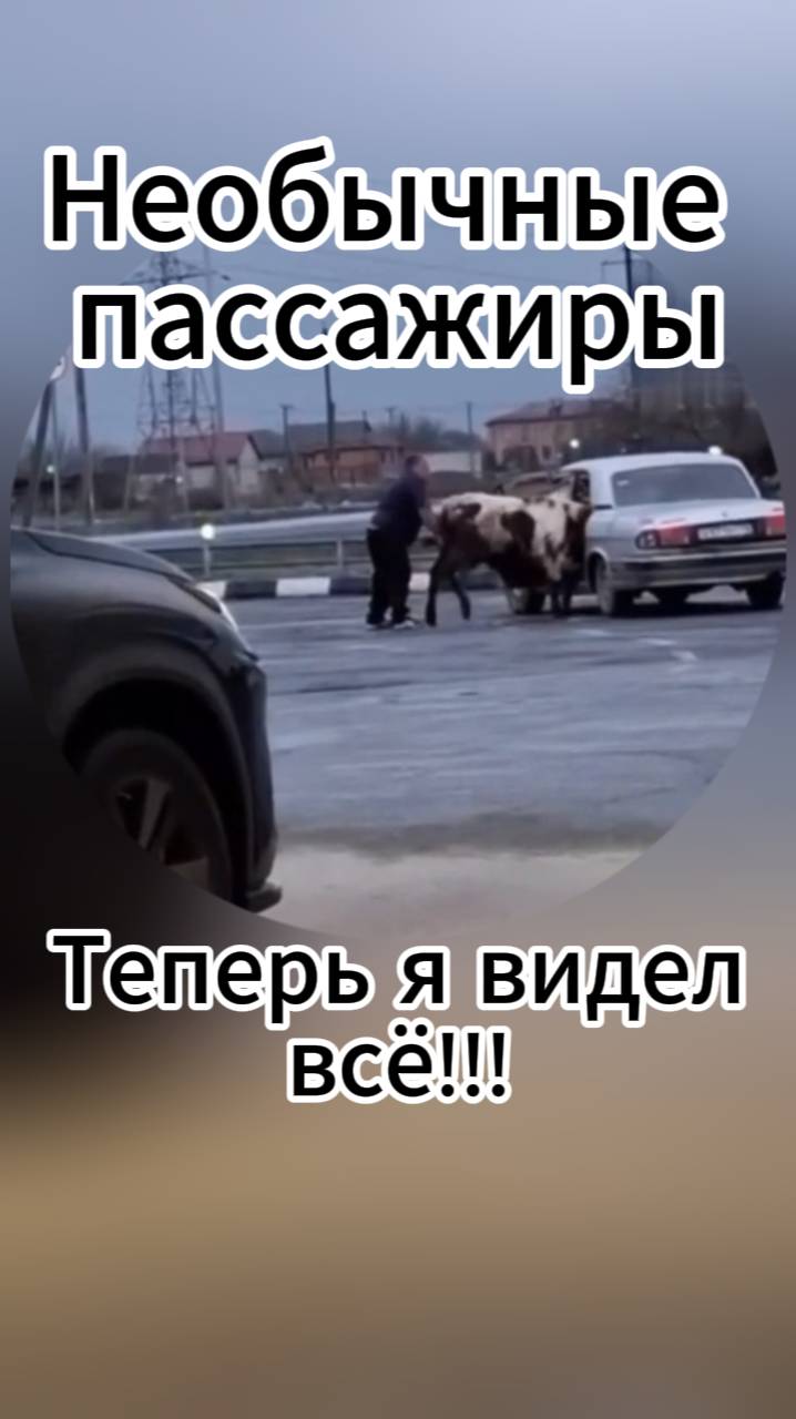Необычные пассажиры. смотреть онлайн