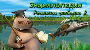 📚 Энциклопедия 📚 | Реальная Рыбалка 2