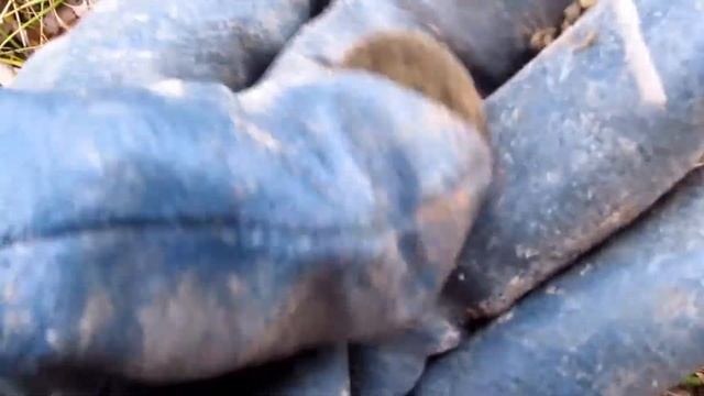 10 - О золоте барина и разведка нового места (23.10.2016) смотреть онлайн