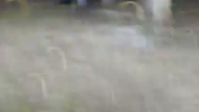 Абдул-Рахьим.mp4