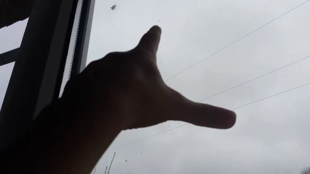 рысь Звёздочка 🐯🐱🌠 смотреть онлайн